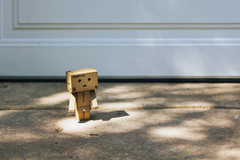 Cardboard Box Playhouse